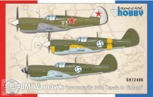 P-40M Warhawk ‘Involuntarily from Russia to Finland’