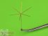 German 1.8 m rod antenna - 1/35