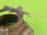 Browning M2HB .50 cal (12,7mm) - for M49 Ring Mount (D40721 carriage / D40733 cradle / D40731 fixed ammo can or D90078 tray) - 1/35 - 1 db