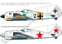   FW-190 A-4 ( JG54 "Black 2"; + captured "black 2" for Soviet Army)