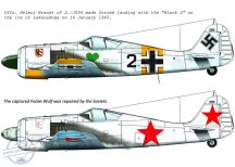 FW-190 A-4 (fekete 2 JG54; + Szovjet zsákmány festés)
