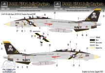   48196/2022 REPRINT F-14A  VF-84 Jolly Rogers BuNo162702 decal sheet 1:48