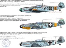 48174 Messerschmitt Bf 109 G-14decal sheet 1:48