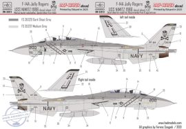 DW-32013 F-14A Jolly Rogers Low Visibility decal sheet 1:32 DW-32013 F-14A Jolly Rogers Low Visibility decal sheet 1:32