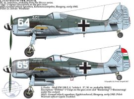 48178 FW-190 F-8 ( 64 â€ťĂgiâ€ť, 65 â€ťPĂ–TTĂ–Mâ€ť) decal sheet 1:48