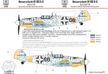   48181 Messerschmitt Bf 109 G-6 â€ťErzsikeâ€ť 66 decal sheet 1:48