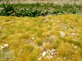 Késő nyári apróköves talaj - fűlap