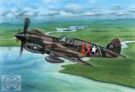 P-40E Warhawk  'Claws and Teeth' - 1/72