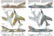SMB-2 Super Mystère  'Sa’ar – Israeli Storm in the Sky' - 1/72