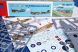 Kittyhawk Mk.IV ‘Over the Mediterranean and the Pacific’ 1/72