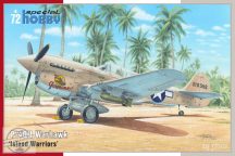 P-40N Warhawk ‘Island Warriors’ - 1/72