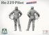 Ho 229 Pilot - 1/16 - Zacskós kiszerelés! Ho 229 Pilot - 1/16 - Zacskós kiszerelés!