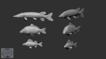 Freshwater fish - 1/48 - 10 db
