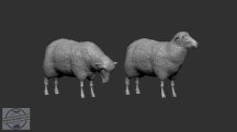 Sheep - 1/72 - 2 db birka