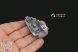 1/48 F-35A/F-35C Lightning II 3D&col.Inter.(TAM)